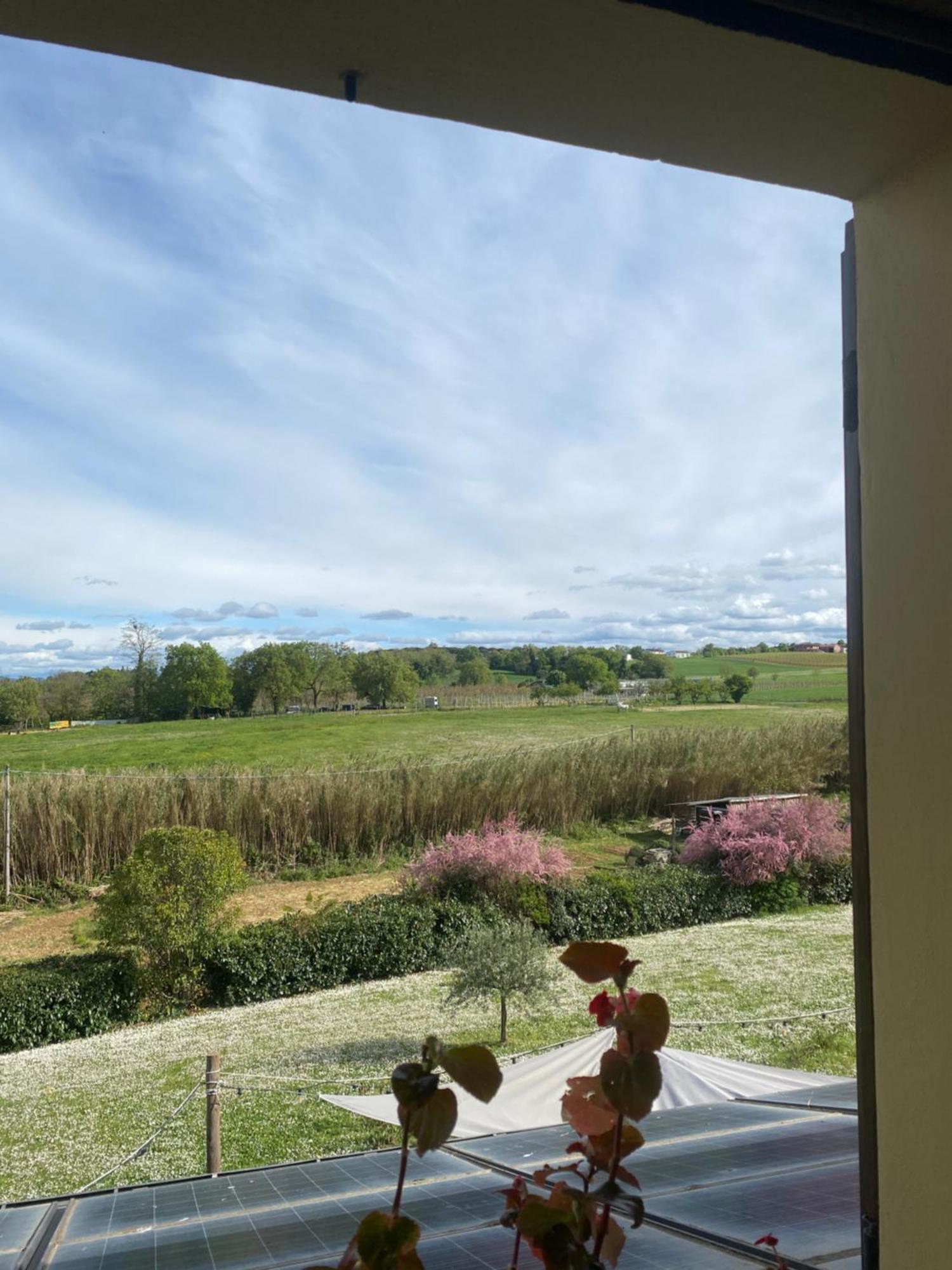La Siba Experience Bed & Breakfast Forlì Eksteriør bilde