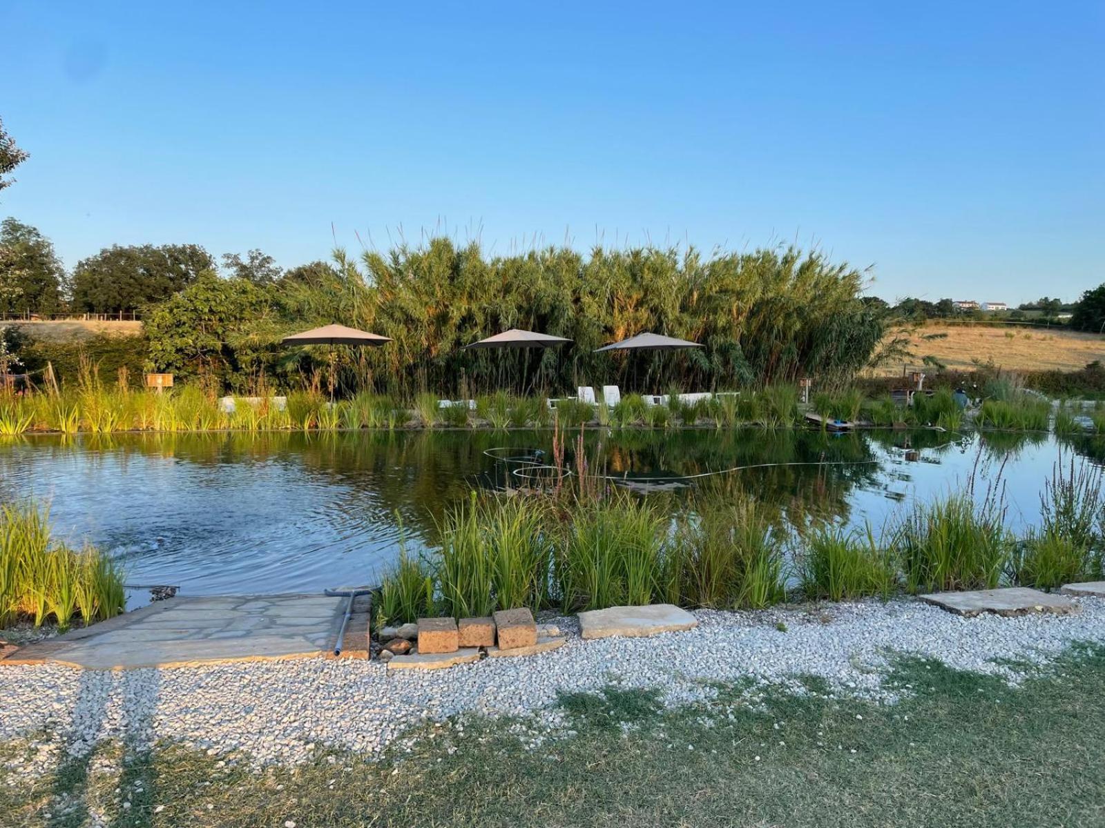 La Siba Experience Bed & Breakfast Forlì Eksteriør bilde